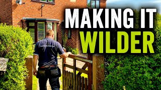 Everything I'm Doing to Make This Garden Better for Wildlife