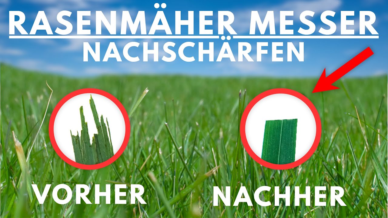 Rasenmäher Messer schärfen - lohnt sich das überhaupt ?
