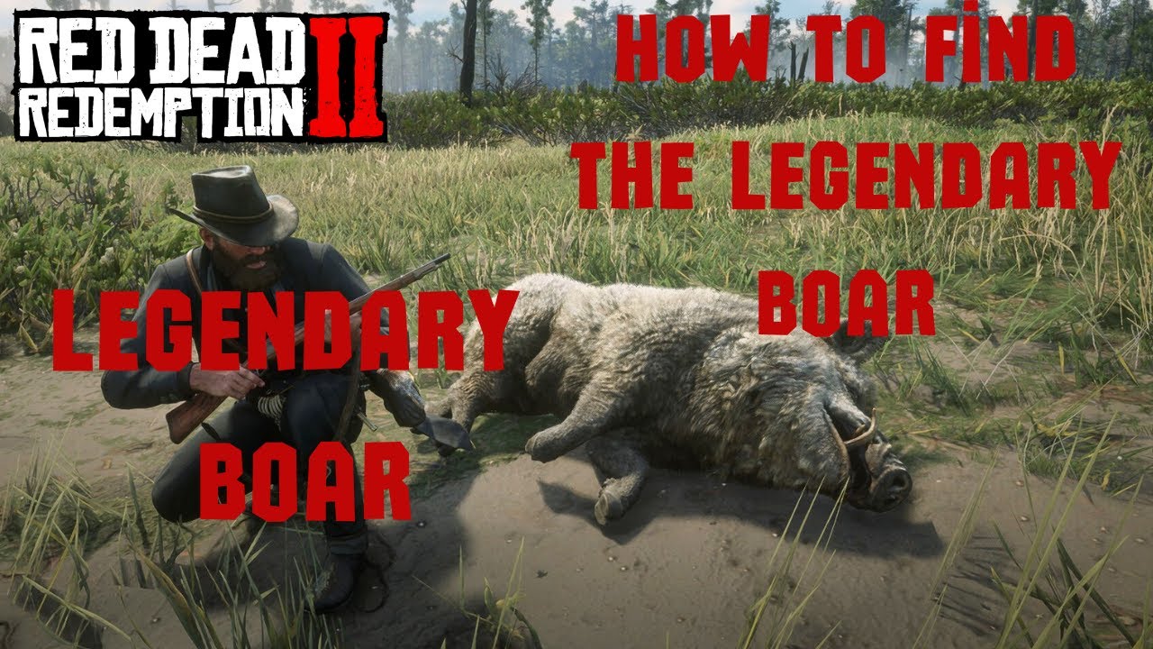 Legendary Boar [Efsanevi Domuz] RDR2 #arthurmorgan - YouTube