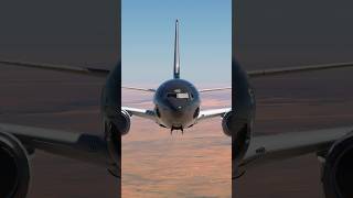 Do you like the Boeing 737MAX#aviation #airplane #boeing737 #boeing #flight