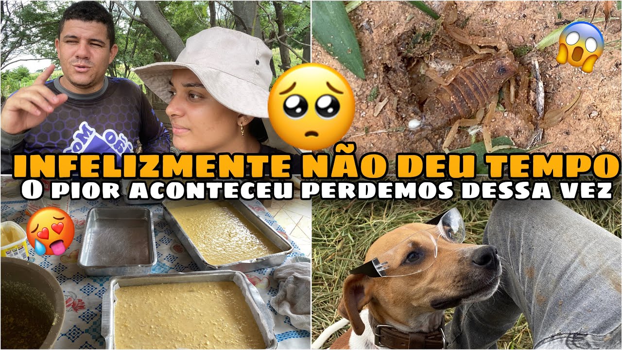 NÃO DEU TEMPO… O PIOR ACONTECEU NA ROÇA! NINGUÉM ESPERAVA ISSO! Não devia ter deixado lá