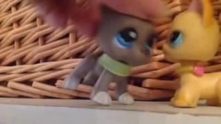 LPS: MV Try everything (Zootopia) Shakira.