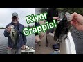 Florida River Crappie