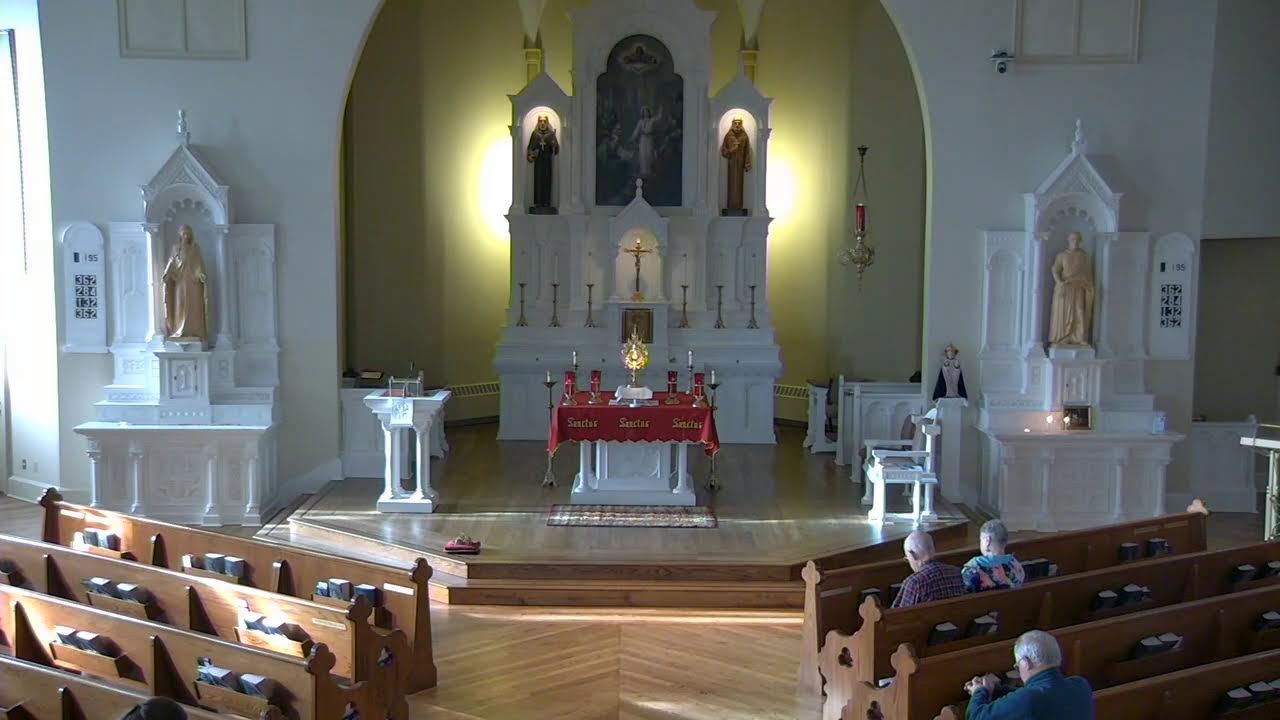 Daily Mass- Wednesday
