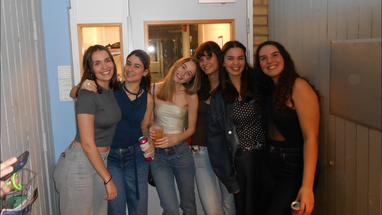 vlog 14 - erasmus linkoping