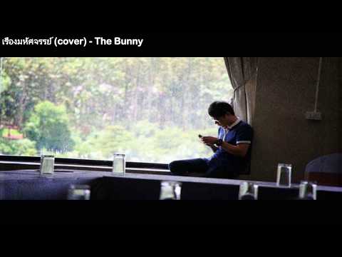 เรื่องมหัศจรรย์ (Cover Sofa) - The Bunny