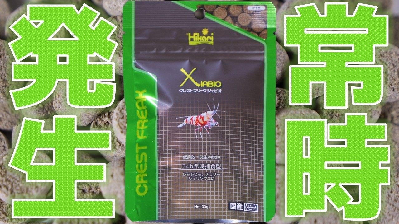 【餌】24時間入れて有益な微生物を自然発生させる今までに無い画期的なフード。腐りにくいカニガラ粉末はGHに影響あるのか検証してみた！キョーリン クレストフリークシャビオ【ふぶきテトラ】