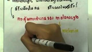 ormBio 099 : ต่อมไร้ท่อ ,ตอน01