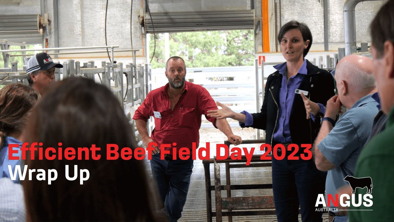 Wrapping up the Efficient Beef Field Day - YouTube