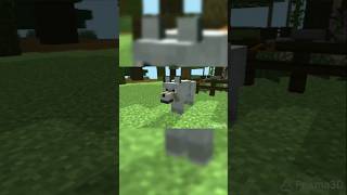 Asu Marah #minecraft #shorts #absurd || Animation By:@voxar-v7