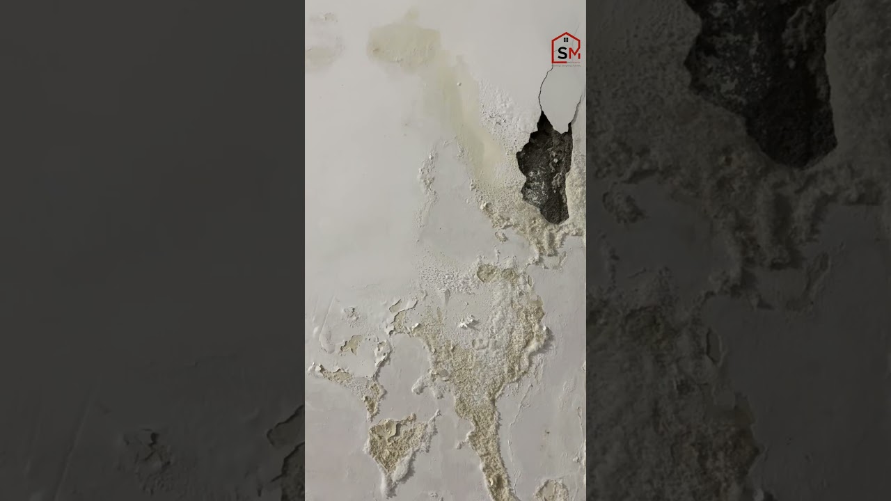 Why we skipped plastering ? #homeconstruction #interiordesign #civilengineering #architecture