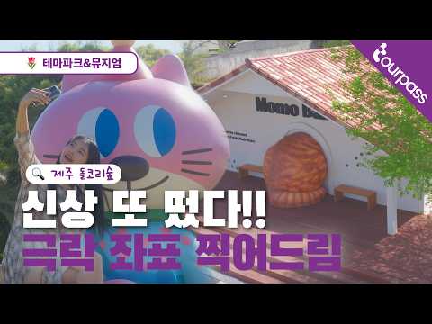 심쿵주의 여기가 바로 냥덕후들 성지라는 제주 돌코리숲 인가요?