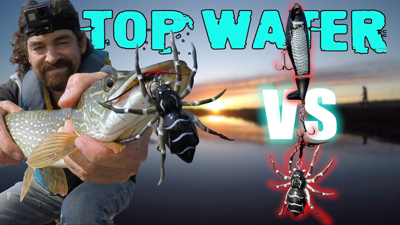 Basics To Fishing Top Water Lures EVERY Angler Needs To Know! YouTube