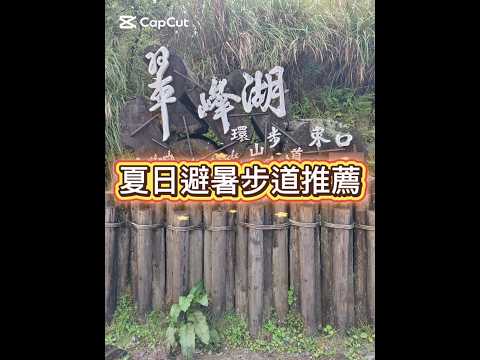 翠峰湖是台灣最大高山湖泊，也是太平山必訪景點之一，環湖支線望洋山只有300公尺，是看日出好地方????，但我們只走了最簡單的一小段，大約20分鐘就能抵達翠峰湖了，海拔1800公尺，是絕佳避暑勝地喔??