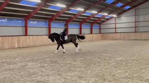 c0f24fe2 5d43 459e 9c11 16241289c200