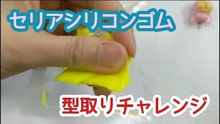 【DIY】　セリア　シリコンゴムで型取りしてみた　/　Type Up in Silicon
