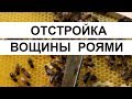 Пасека #25 Как рои тянут вощину - ОТСТРОЙКА ВОЩИНЫ РОЯМИ. Пасека. Пчеловодство.