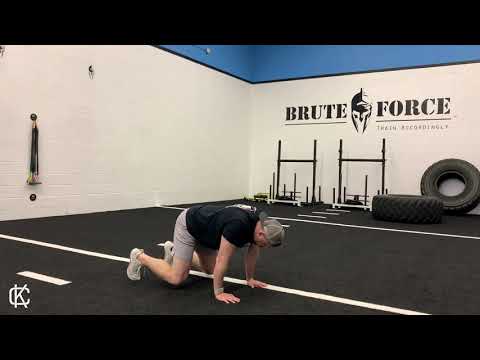 Quadruped Scap Push Ups | Functional Bodybuilding + Upper Body Accessory Exercise