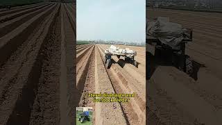 Vigorun wireless radio control high range orchard agriculture spraying vehicle made by Vigorun Tech