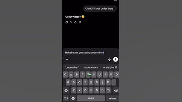 Bro knows everything in the world 🌍 !? #funny #memes #ai #chatgpt #cobbelstone29 #whatthehell