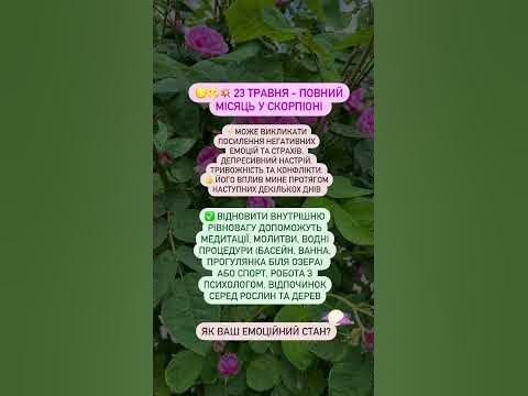 🌕🌝 23-24 травня, повний Місяць у Скорпіоні #прогнознадень #прогноз ...