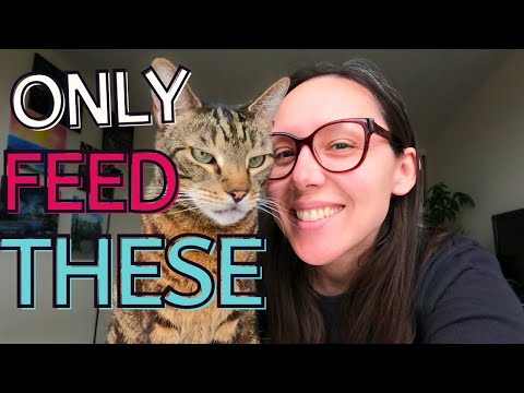 Video: SuperZoo 2016 Hari 2: KATRIS Lynks Modular Cat Scratchers