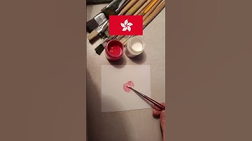 FLAG OF Hong Kong 🇭🇰🇭🇰