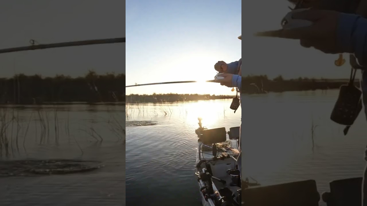 Nothing like a early morning BuzzBait Bite! 