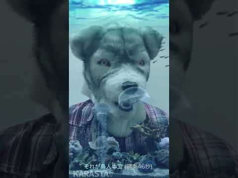 BEGINの島人ぬ宝～シマンチュヌタカラ～を歌ってみた / wolf626