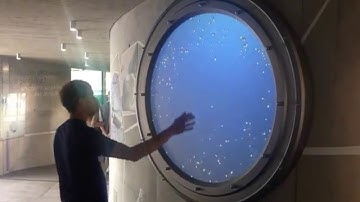 ZOO VIENNA - Human Motion Tracking and Gesture Recognition - Interactive Digital Signage