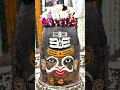 #mahakal#youtubeshorts#kalbhairav#bhakti#bhagvan#ujjain#🙏#trending#subscribe#viral#sorts#like#share