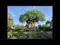 Animal Kingdom Tree of Life Area Music 3 Hour Loop