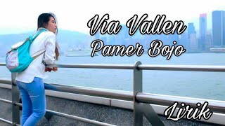 Via Vallen - Pamer Bojo (Cipt. Didi Kempot) Lirik