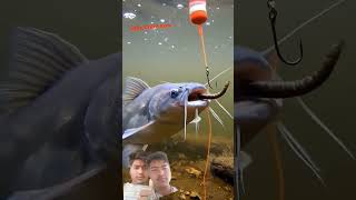 crazy fish bite 😱