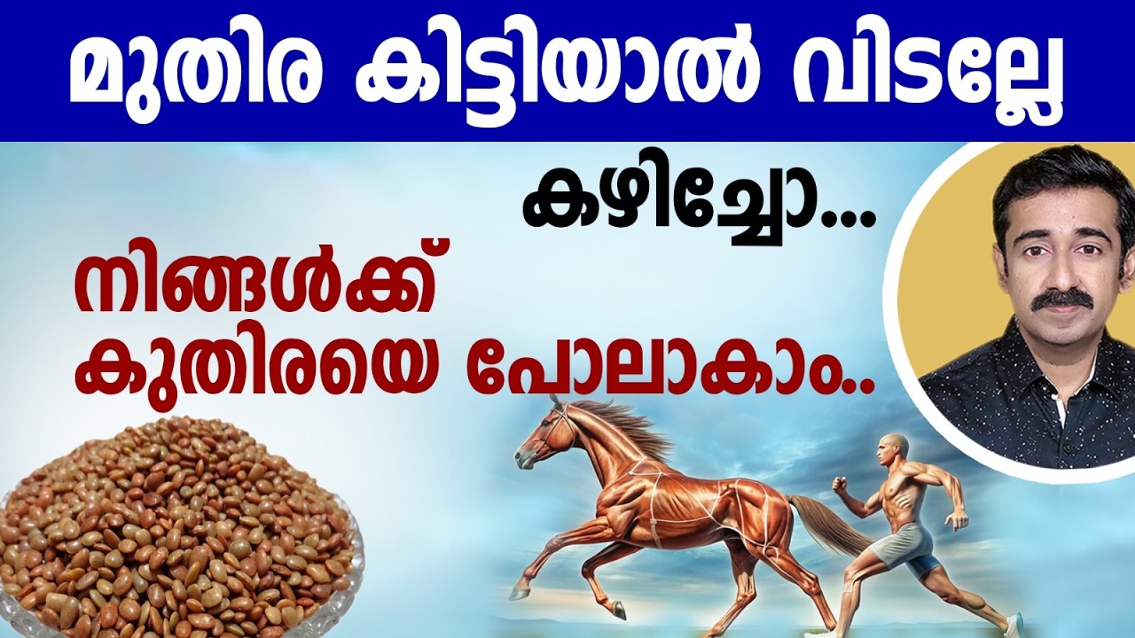 Если вам попался ямс, не выбрасывайте его. Съешьте его. Ваше здоровье будет как у лошади. Информа...