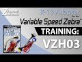 VZH03 Training:  X-13 Adapter for the Variable Speed Zebra