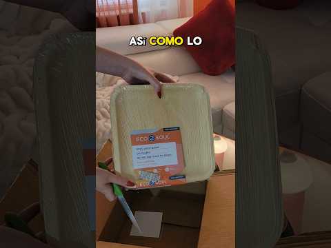 🎬 Video relacionado con platos desechables