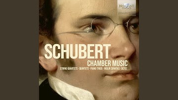 String Quartet No. 4 in C Major, D. 46: IV. Finale. Allegro