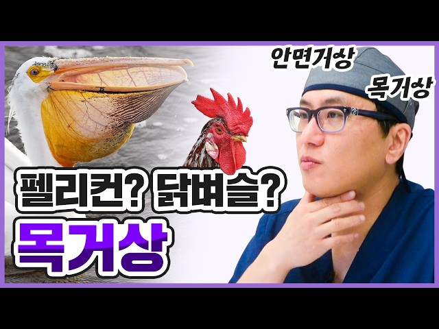 목거상하면 끝? 🤔 | 펠리컨, 닭벼슬 목주름 걱정 해결🐔