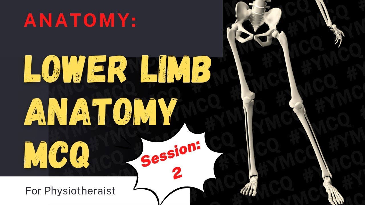 2. Lower Limb Anatomy MCQs for Physiotherapists | Hip, Knee, Foot | GSSSB AIIMS vs DHA MOH