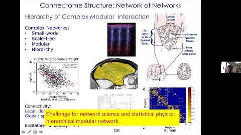 From Sparse Irregular Spikes to Critical Avalanches: Cost-efficient Neural Dynamics