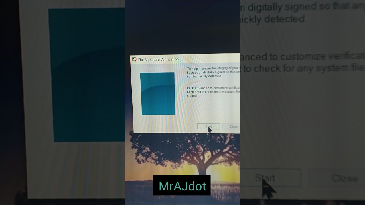 File Signature Verification 