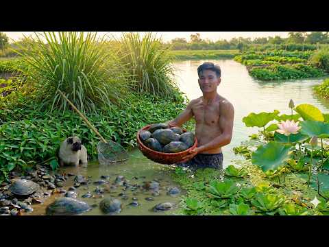 Harvest Freshwater Clams For Market Sell – Bottle Gourd Clam Soup And Spicy Lemongrass Clams - Farm