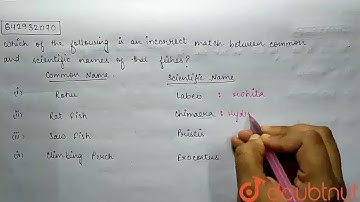 Which of the following is an incorrect match between common and scientific names of fishes? | CL...