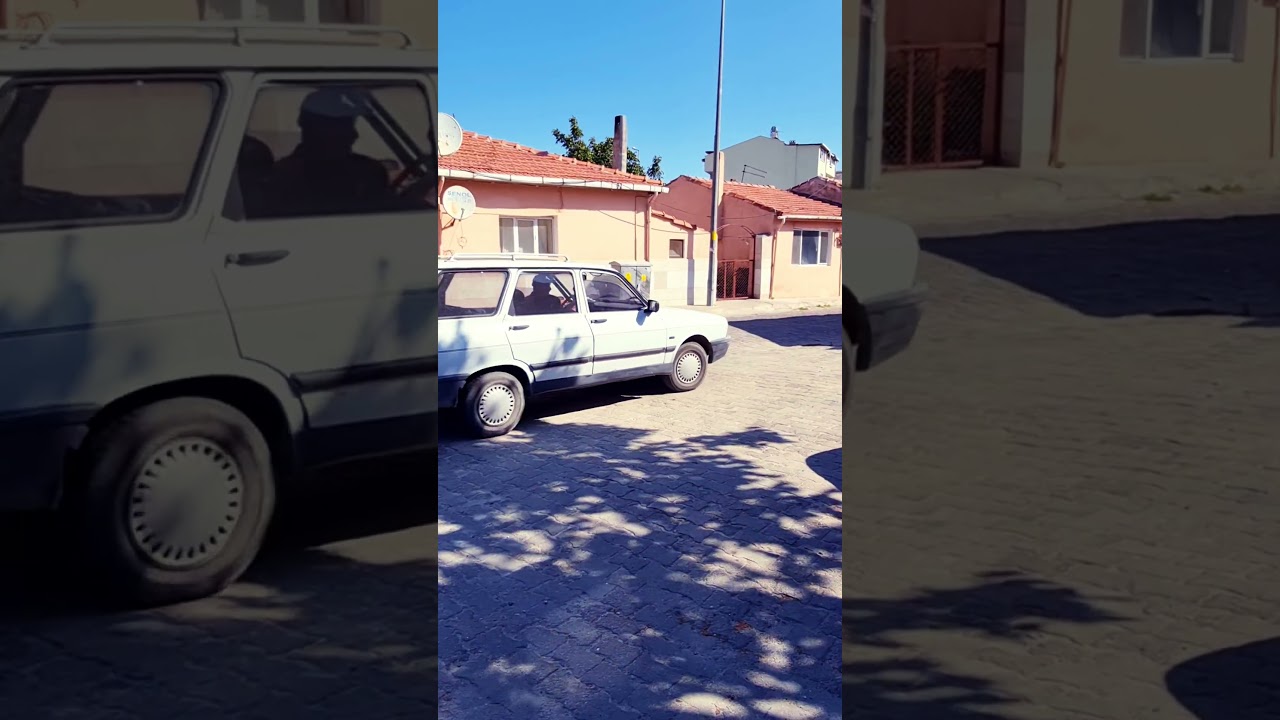 Renault 12 Toros (Dacia 1310)