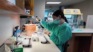 An exclusive look at the national DNA database used at the Bexar County Crime Lab