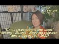 Пять секретов власти слова. Архетип Дерева - способность конкурировать и отстаивать свои убеждения