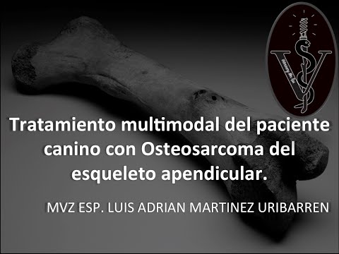 Video: Opciones De Tratamiento Paliativo Para El Cáncer De Osteosarcoma En Perros