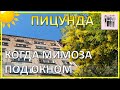 ПИЦУНДА 06.03.2022 | Прогулка по городу и морю