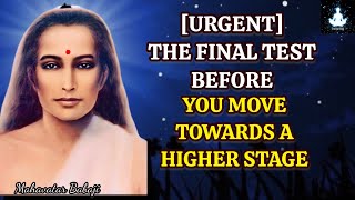 [Dringend] De laatste test voordat je naar een hoger niveau gaat - Babaji's boodschap